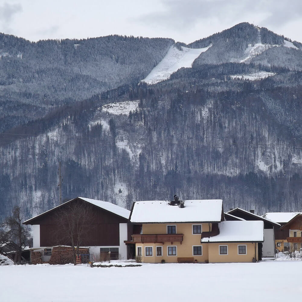 SkiHolic Real Estate